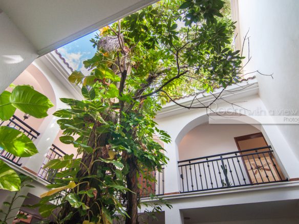 Villa Arbol
