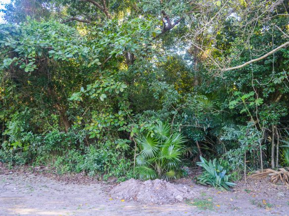 Lot Riviera Tulum