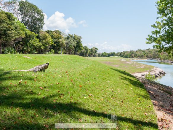 Bahía Lot