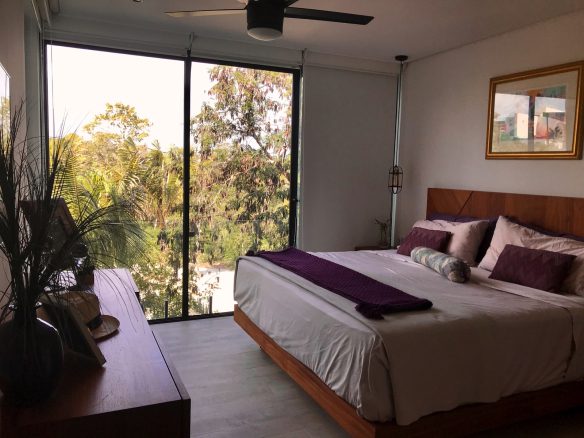 Panoramic PH