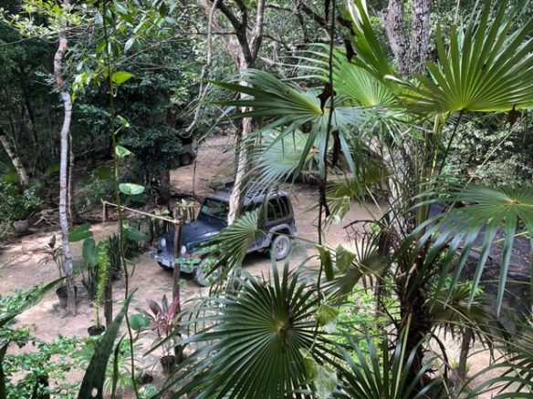 Jungle Eco Home