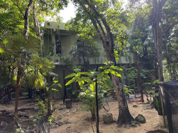 Jungle Eco Home