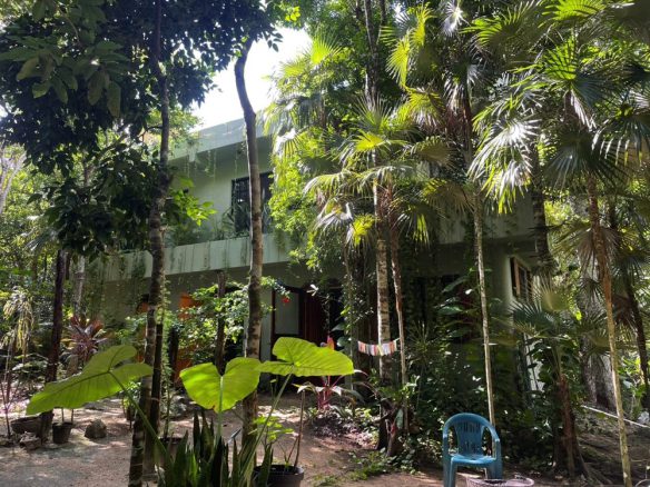 Jungle Eco Home