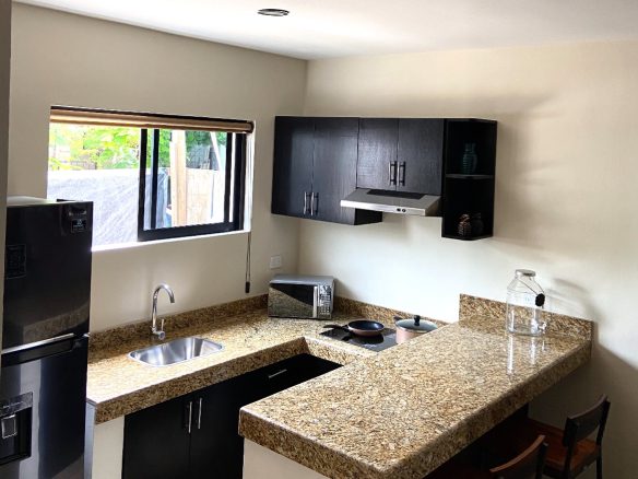 Joshua Condos 1 Bedroom
