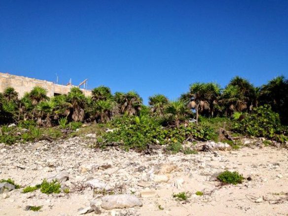Lot 4 Punta Sur