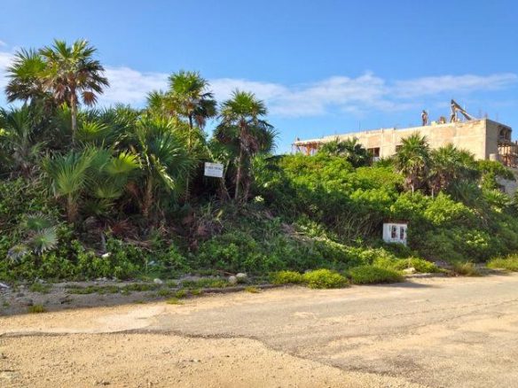 Lot 4 Punta Sur
