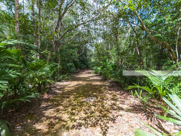 Cenote Lot- Pueblo SacBe