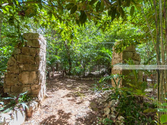Cenote Lot- Pueblo SacBe