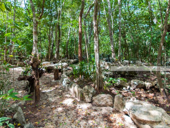 Cenote Lot- Pueblo SacBe