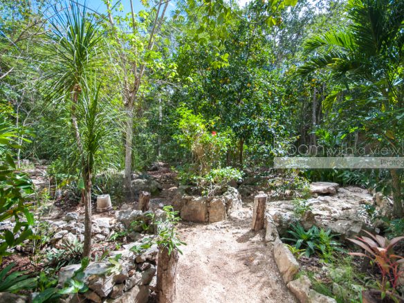Cenote Lot- Pueblo SacBe
