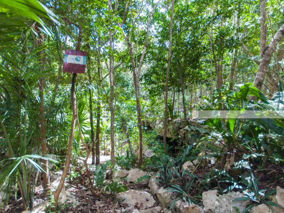 Cenote Lot- Pueblo SacBe