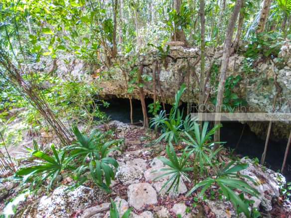 Cenote Lot- Pueblo SacBe