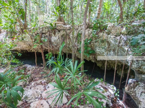 Cenote Lot- Pueblo SacBe