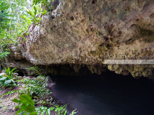 Cenote Lot- Pueblo SacBe