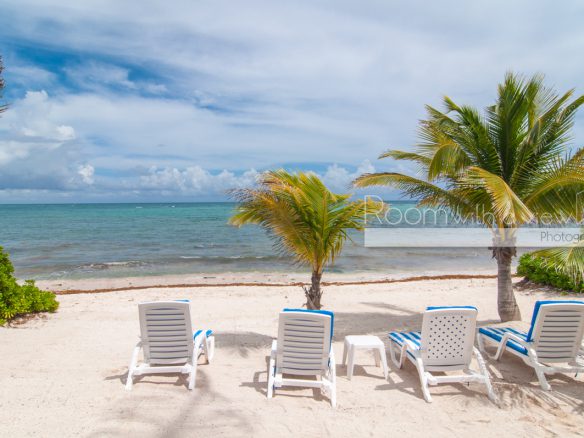 Siete Mares – Seller Financing Considered