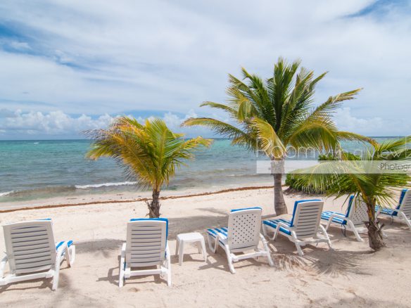 Siete Mares – Seller Financing Considered