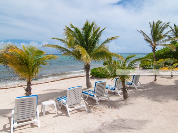 Siete Mares – Seller Financing Considered