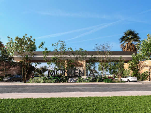 Montenia Lots
