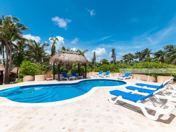 Casa Iguana