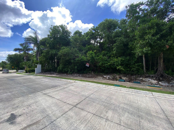 Residential lot Las Olas