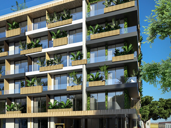Menesse Life Studio