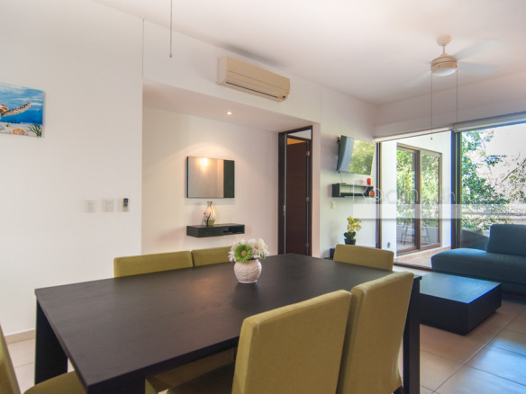 Tao Qi 2 bed