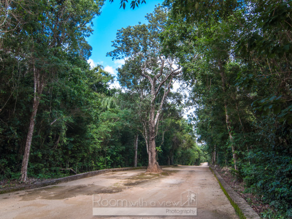 Los Arboles Lot 20A