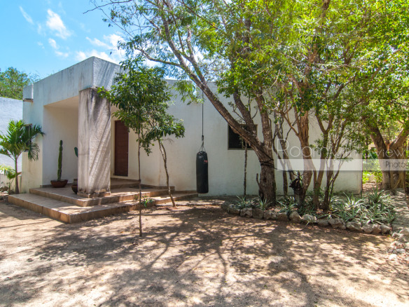 Casa Alamo