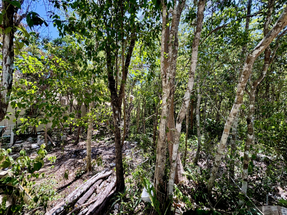 Haven Executive Estates Lot 2