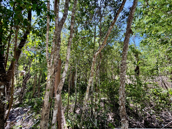 Haven Executive Estates Lot 2