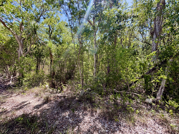 Haven Executive Estates Lot 2
