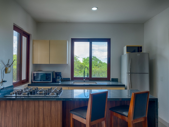 Akumal Chic Condo