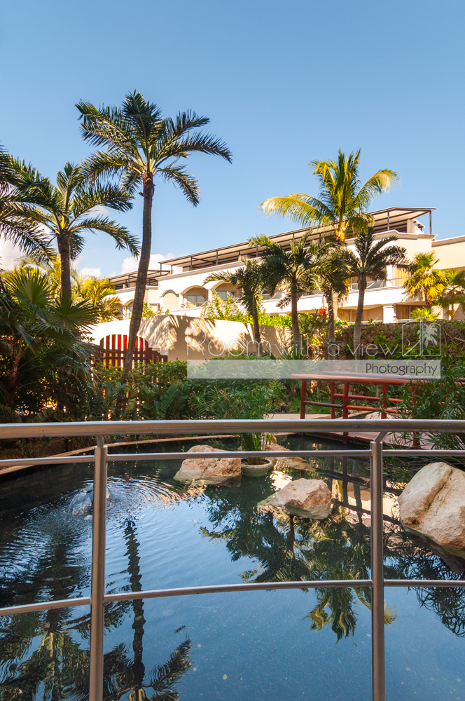 Copyright 2010 Scott C. Brown