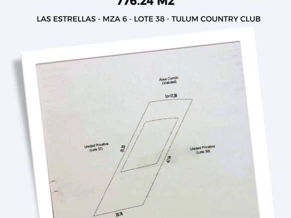 Estrellas Lot 38
