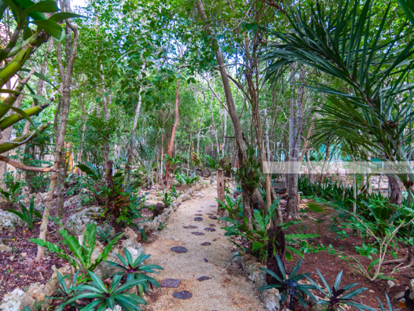 Casa Orquideas
