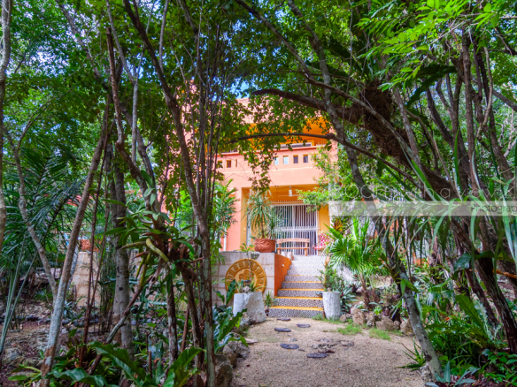 Casa Orquideas