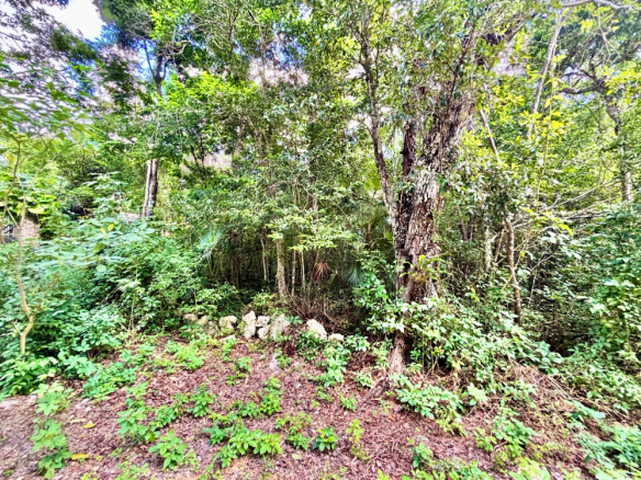 Lote 20 Chemuyil