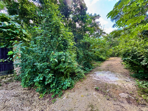 Lote 20 Chemuyil