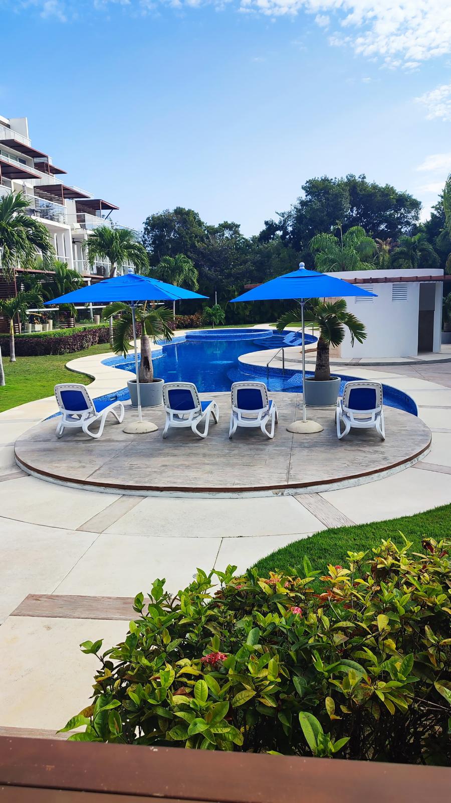 WhatsApp Image 2026-01-20 at 13.57.04 (1)